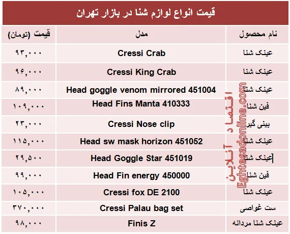 قیمت انواع لوازم شنا در بازار تهران +جدول