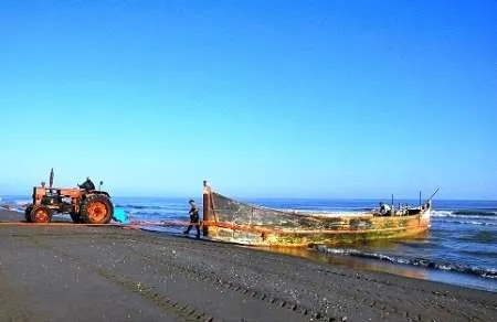 ساماندهی کسب و کارهای کوچک در حوزه صنایع دریایی