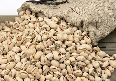 Iran exports $1.7 billion pistachio in one year: official