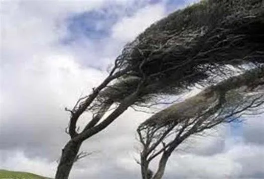 تندباد شدید در راه تبریز
