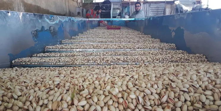 پسته ایران به کجا صادر شد؟