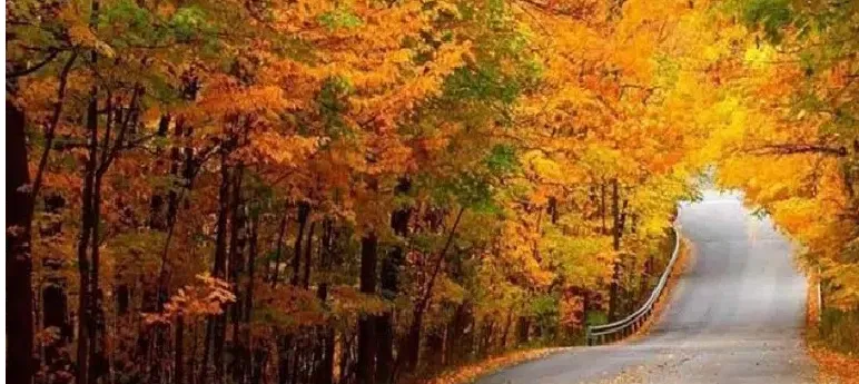 کدام شهرهای ایران برای سفر در پاییز مناسب هستند؟