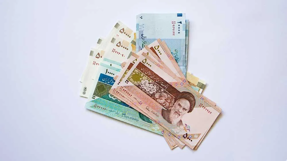 یارانه یک‌ میلیونی دولت برای این افراد