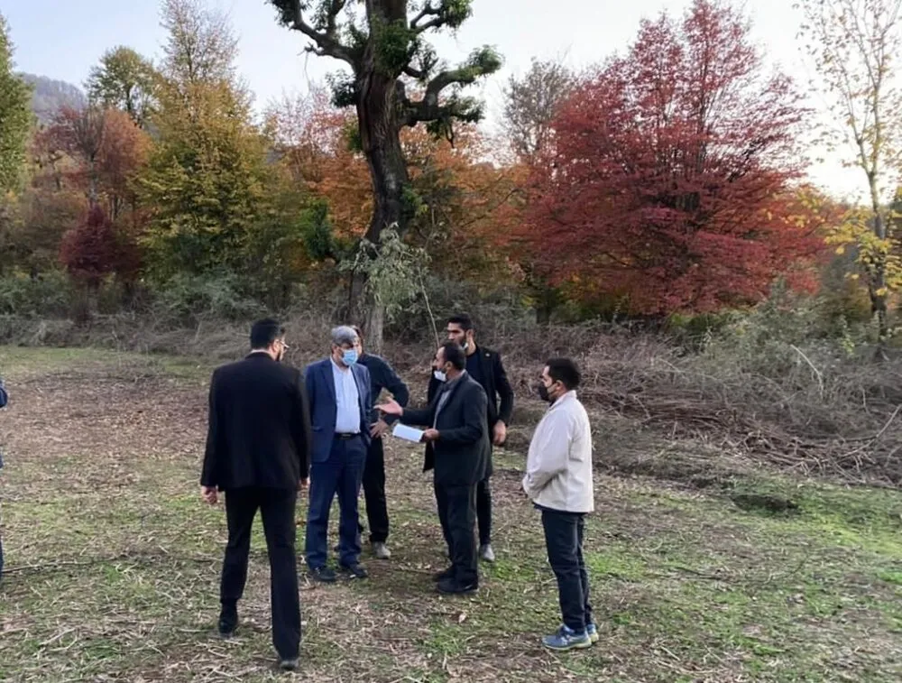 ورود دادستانی گرگان به ماجرای جنگل‌خواری در «قرق»