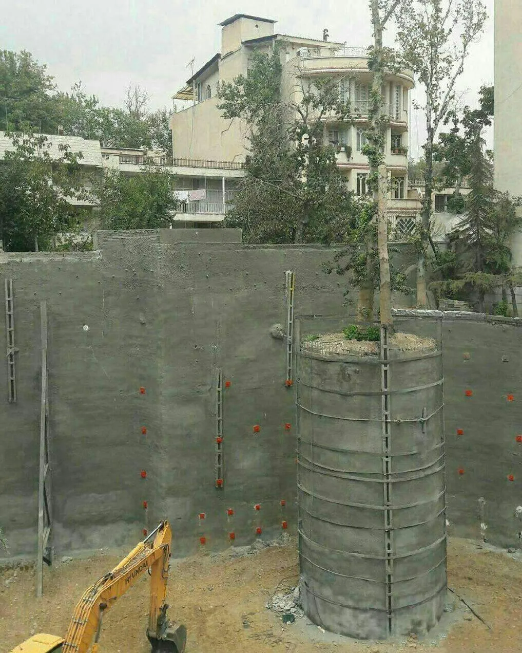 نهایت احترام به یک درخت هنگام گودبرداری در مشهد +عکس
