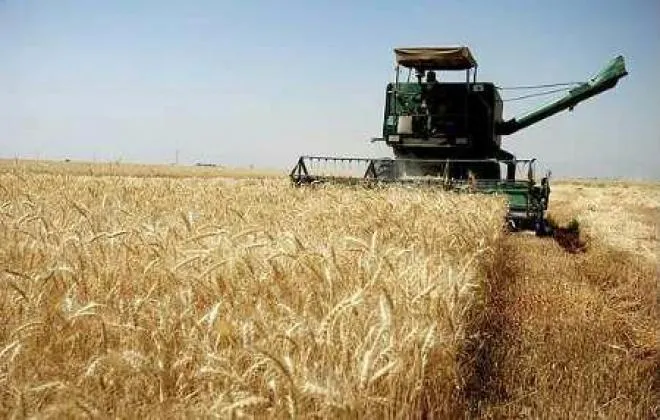 غفلت از ظرفیت‌های کشاورزی در توسعه روستاها