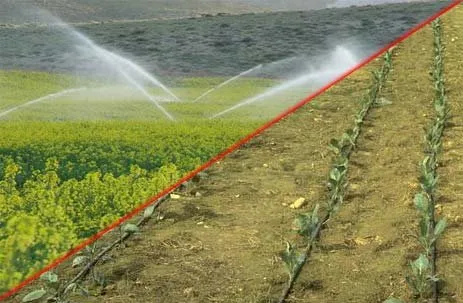 توصیه‌های ۶ روزه هواشناسی به کشاورزان