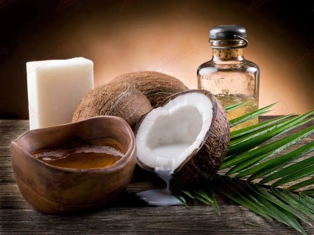 آیا می‌ توان از روغن نارگیل برای درمان عفونت ادراری استفاده کرد؟