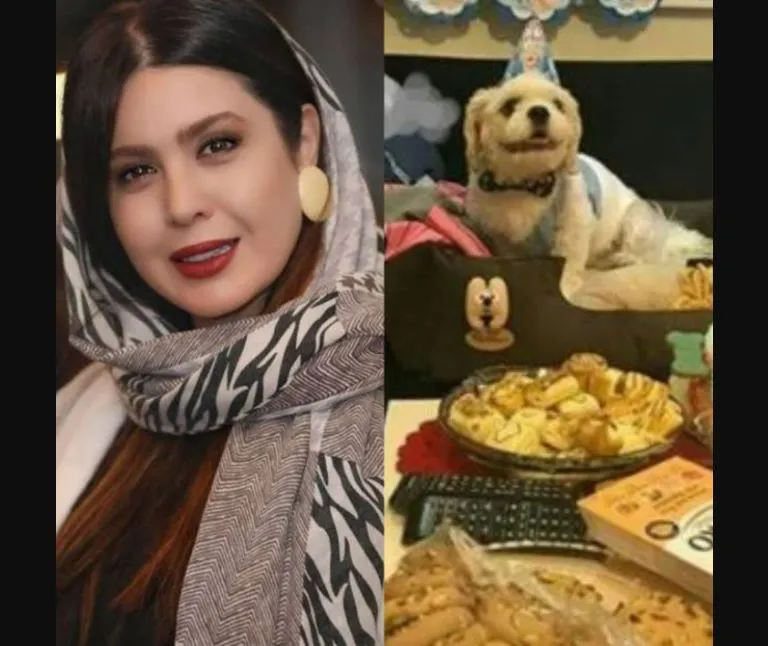 جشن تولد لاکچری سگ بازیگر معروف ایرانی! + فیلم