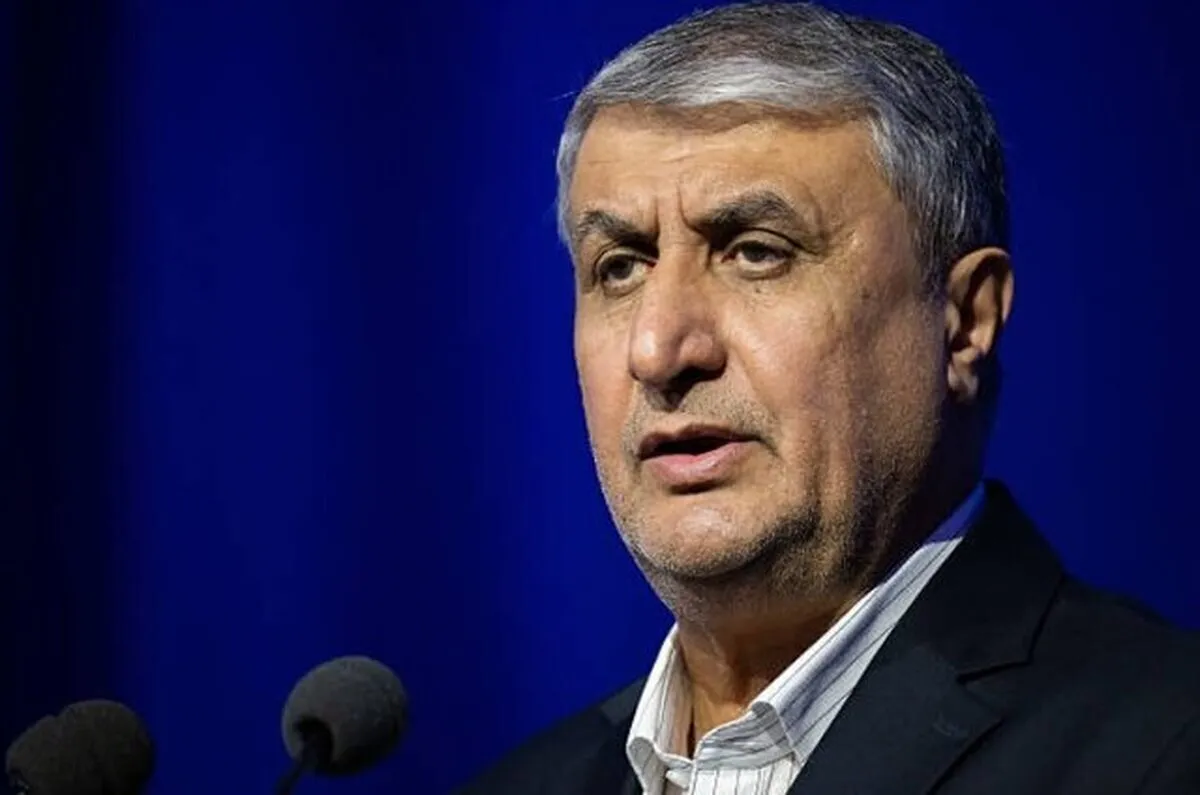 Interaction with IAEA in Conformity with Iran’s Parliamentary Law: Nuclear Chief