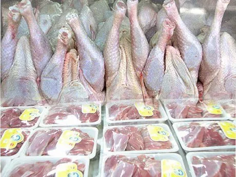 مشکلی برای تامین مرغ و گوشت محرم نداریم +قیمت