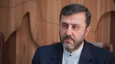 افشاگری-تازه-درباره-قطعنامه-ضدایرانی-غریب-آبادی-واکنش-نشان-داد