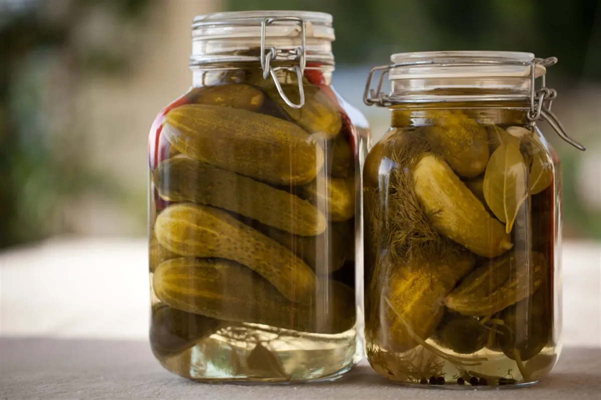 فوت و فن ترد شدن خیارشور خانگی + فیلم