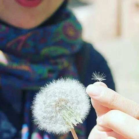 چند دلیل کوچک برای خوشبختی