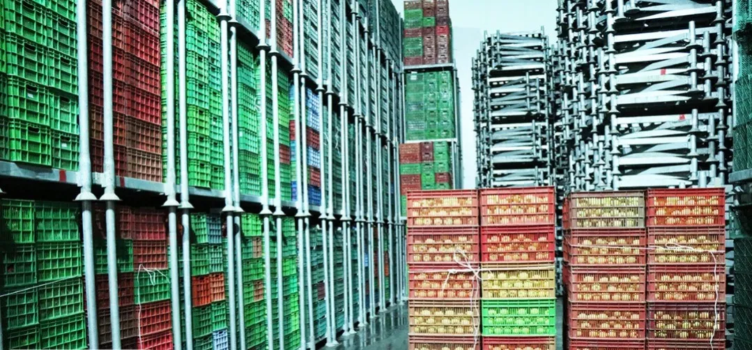 انجام بیش از ۱۹هزار بازرسی از انبارها و سردخانه ها در آذر ماه۱۴۰۰