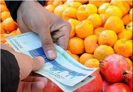 چوب حراج باغداران شمال به پرتقال/ نارنگی گران شد
