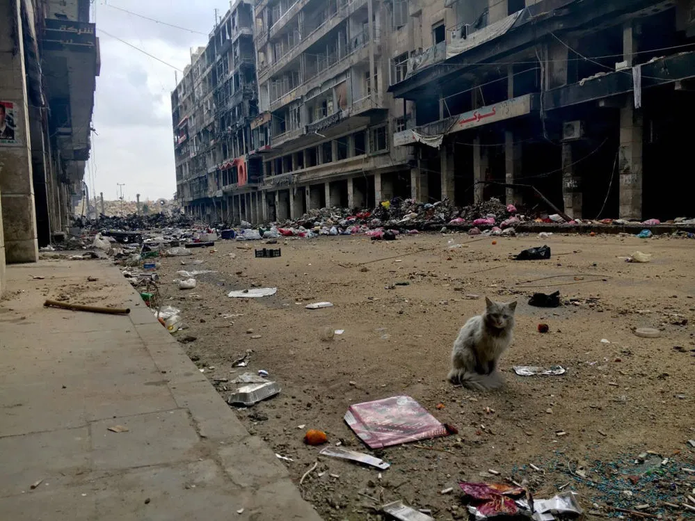نشست فوق‌العاده اتحادیه عرب درباره حلب