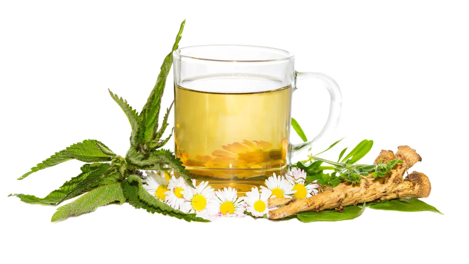 ۴ آنتی‌هیستامین طبیعی برای مبتلایان به آلرژی