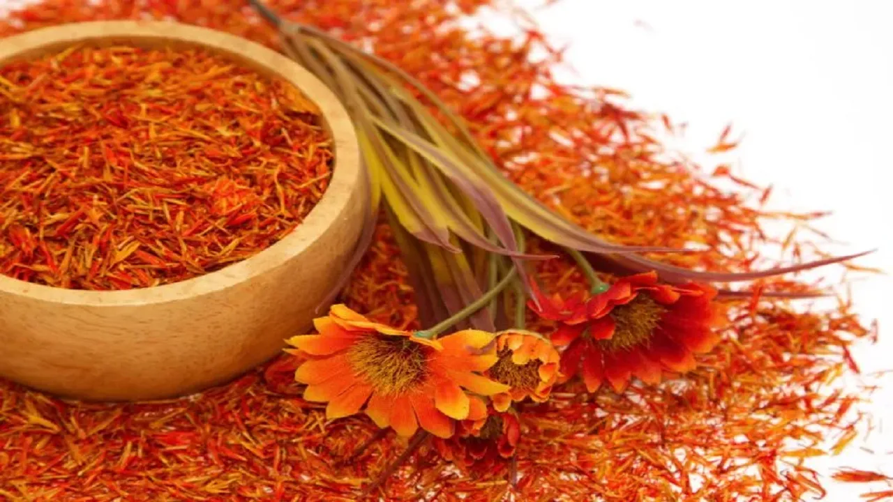 گیاه گلرنگ کدام بیماری را درمان می کند؟