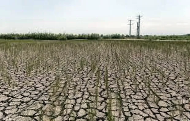 رد‌پای خشکسالی در مازندران