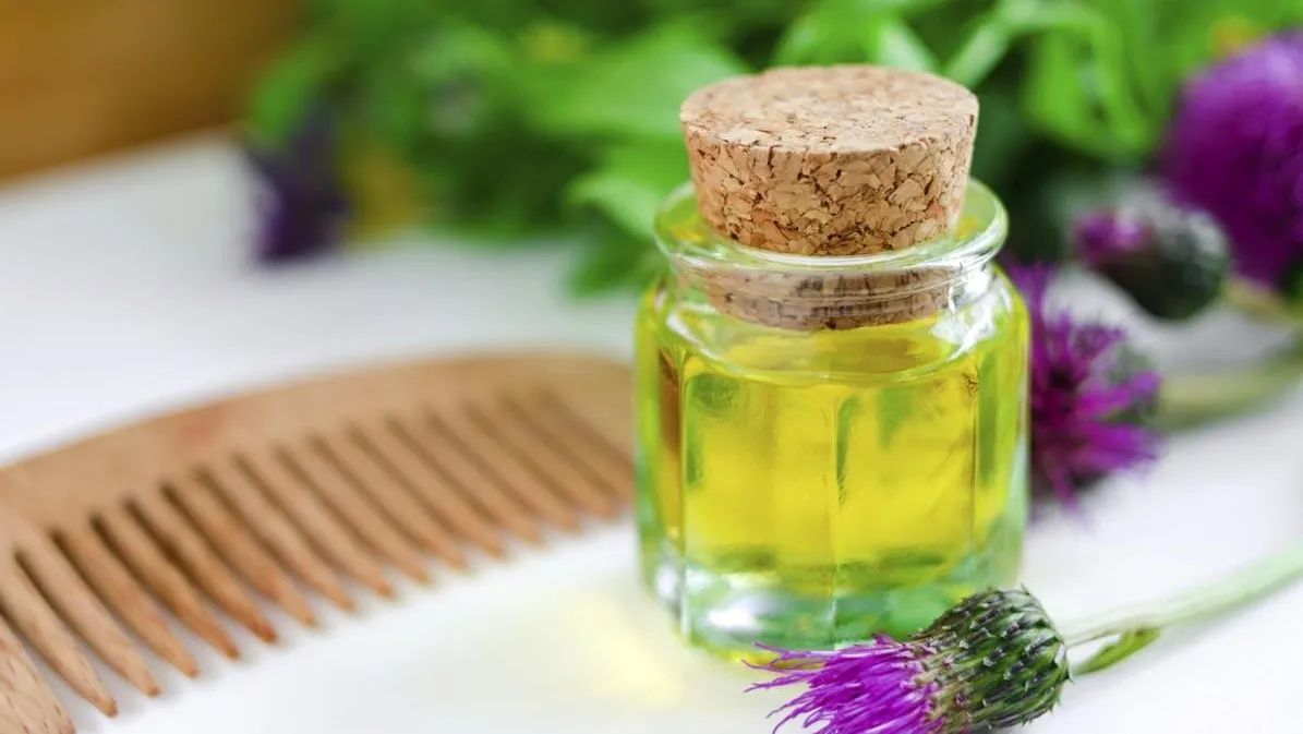 این گیاه دارویی ایستگاه تصفیه خون است