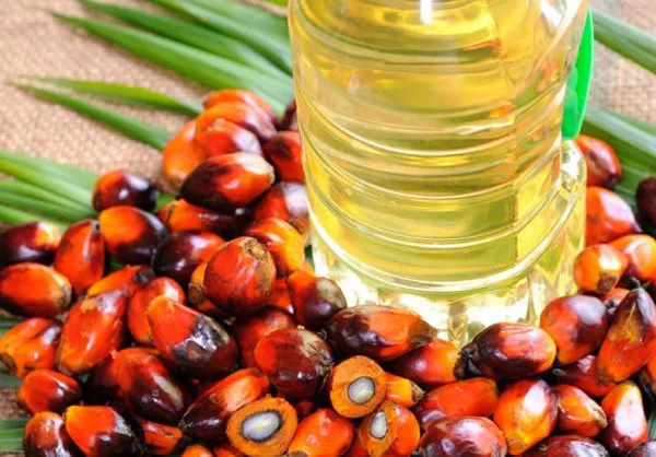 مهار افزایش قیمت روغن در بازار جهانی