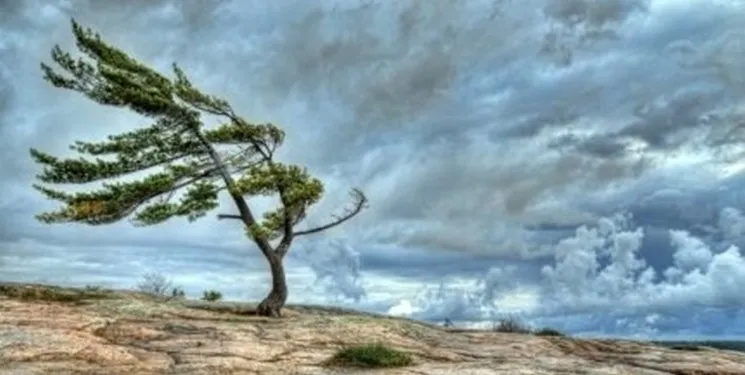 صدور هشدار نارنجی درباره وزش باد