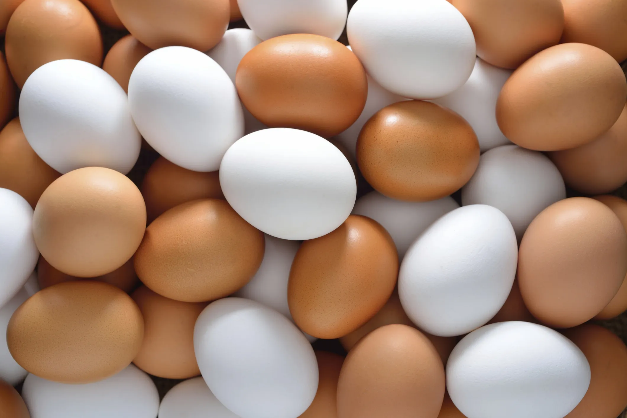 Avian Flu Epidemic Forces Cull of 17m Chickens
