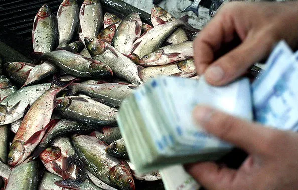 تهاتر قزل آلای ایران با تیلاپیای چین/ ایران به دنبال بازار بزرگ مصرف آبزیان چین