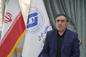 بانک توسعه تعاون زیر ذره‌بین رفت/ مشکل اصلی کجاست؟