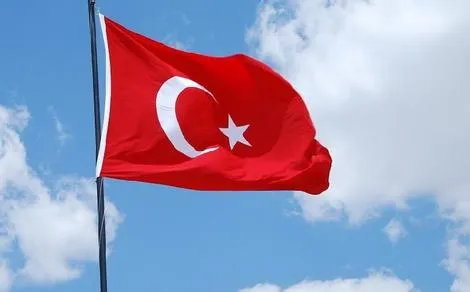 واکنش جالب دو کودک ترکیه ای به دیدن پرچم کشورشان در خیابان + فیلم