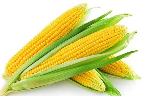 ۱۱ فایده و خواص ذرت برای پوست