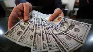 US Allies Focusing on Reducing Dollar Reliance: BRICS