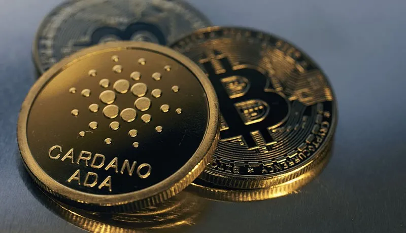 نکات استفاده از کیف پول صرافی ارز دیجیتال