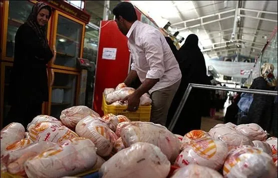 رسیدن قیمت مرغ به ۲۰هزار تومان تا ۱۰روز آینده