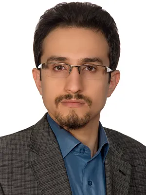 واکاوی نقش هدفمندی در بحران اخیر