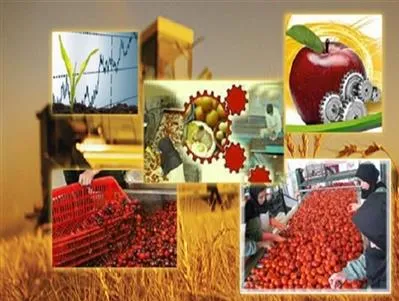 طرح‌های اشتغال‌زایی روستایی چقدر موثر بوده است؟