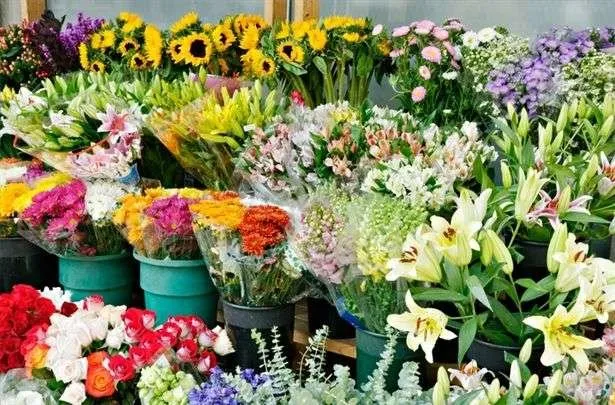 افزایش صادرات گل و گلاب و کاهش مشتری گل‌های زینتی