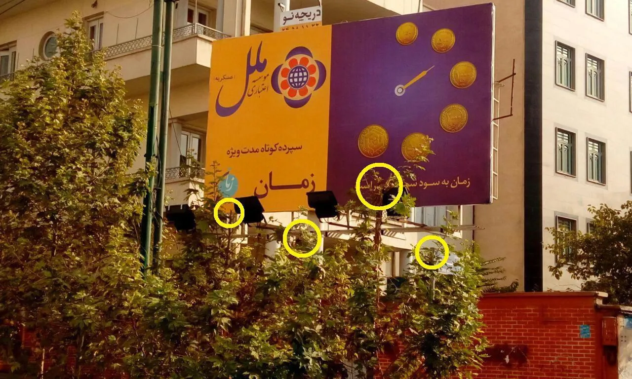 قطع درخت برای نمایش بیلبورد تبلیغاتی!