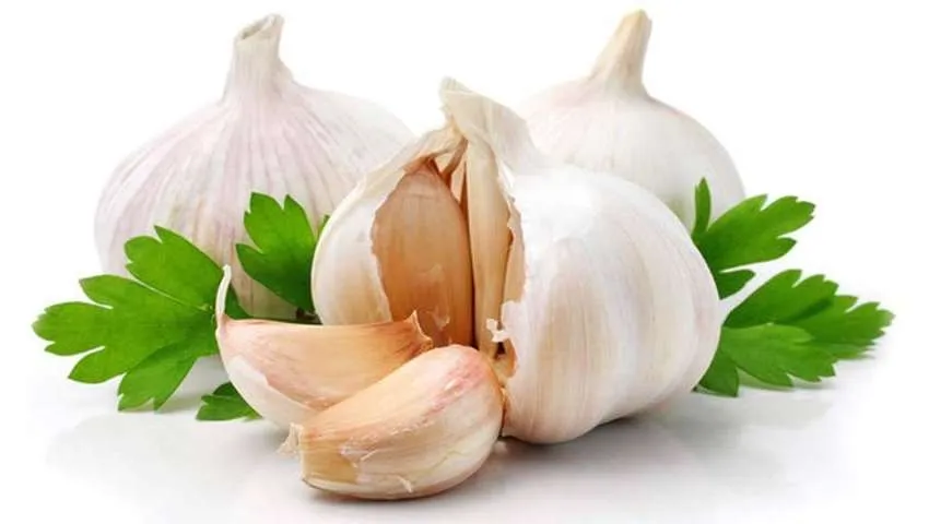 خوردن سیر خام مفیدتر است یا سیر پخته؟ + روش صحیح خوردن سیر