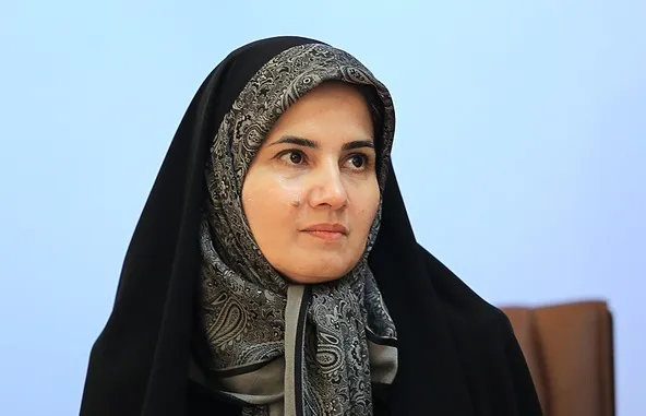 مزاحمت برای هواپیمای مسافربری تعقیب حقوقی خواهد داشت