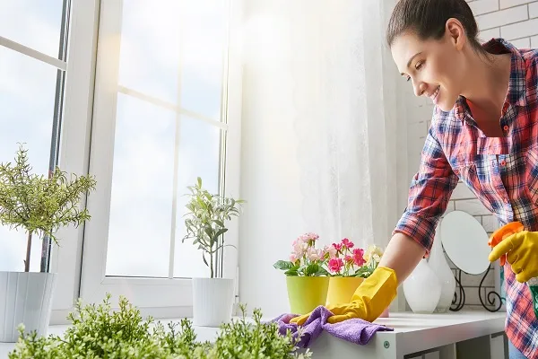 راهکارهایی ساده برای پالایش هوای خانه