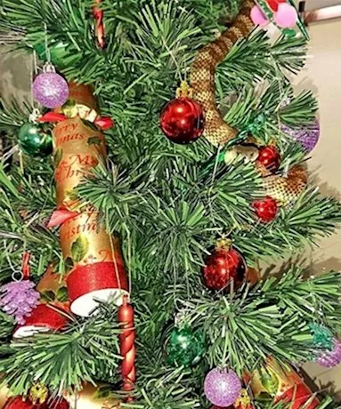 هدیه خطرناک بابانوئل به یک زن +عکس
