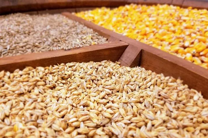 کاهش ۳۱درصدی واردات نهاده‌های دامی