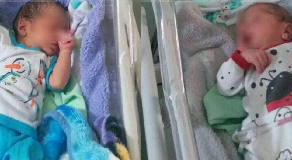حمله مورچه‌ها به نوزادان دوقلو صحت ندارد