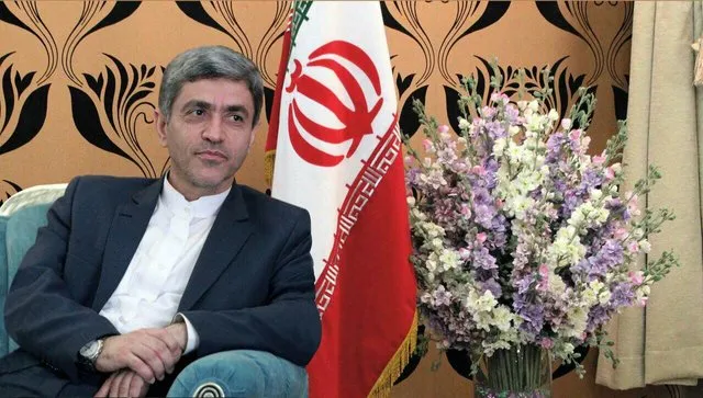 طیب‌نیا: ضعف‌ نظام مالیاتی را می‌پذیرم
