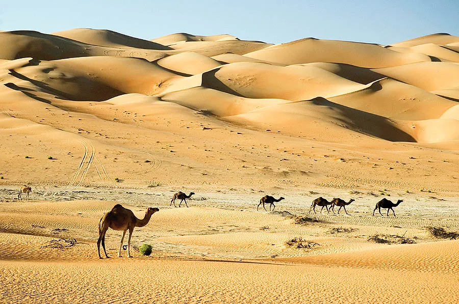 پدیده ای نادر، سیل در وسط کویر عربستان! + فیلم