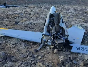 Iran Army downs 6 invading Hermes drones