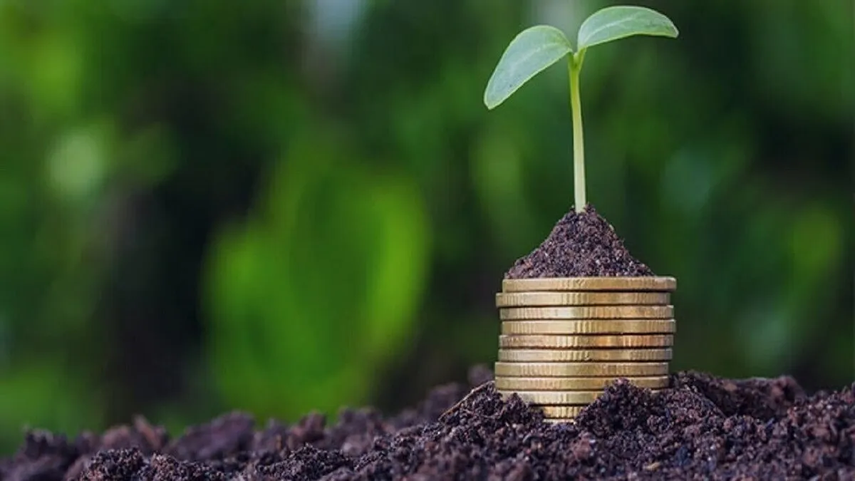 خبر خوش برای کشاورزان/ پرداخت غرامت خسارت‌دیدگان ادامه دارد