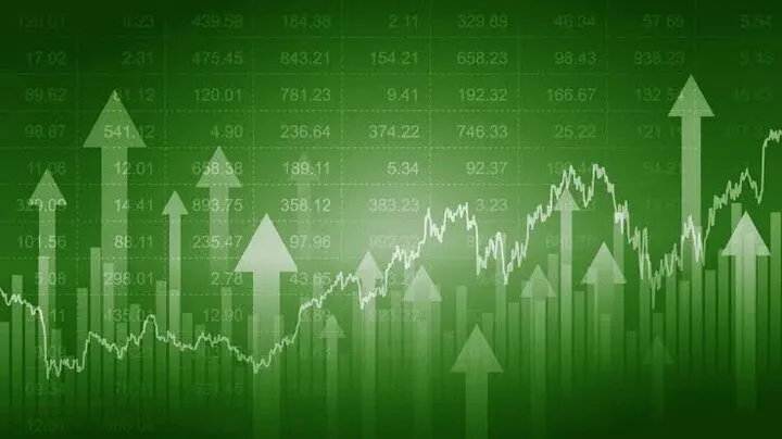 Tehran stock index posts record daily gain